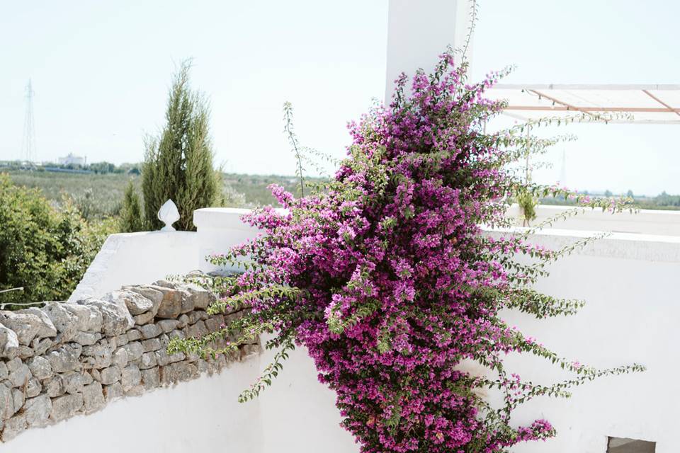 Masseria Le Cerase