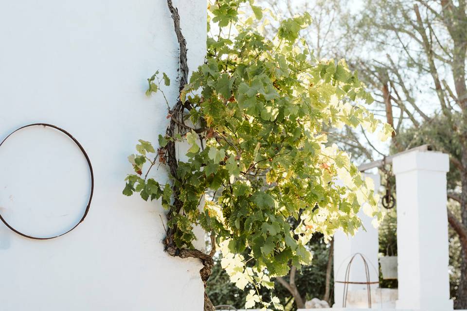 Masseria Le Cerase