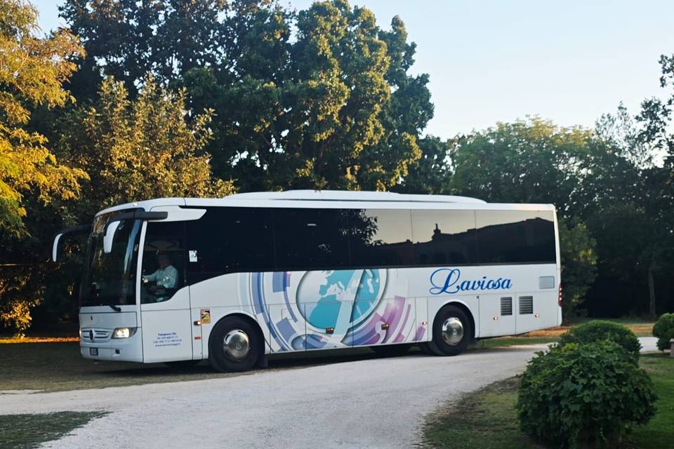 Autobus G.T. posti 42