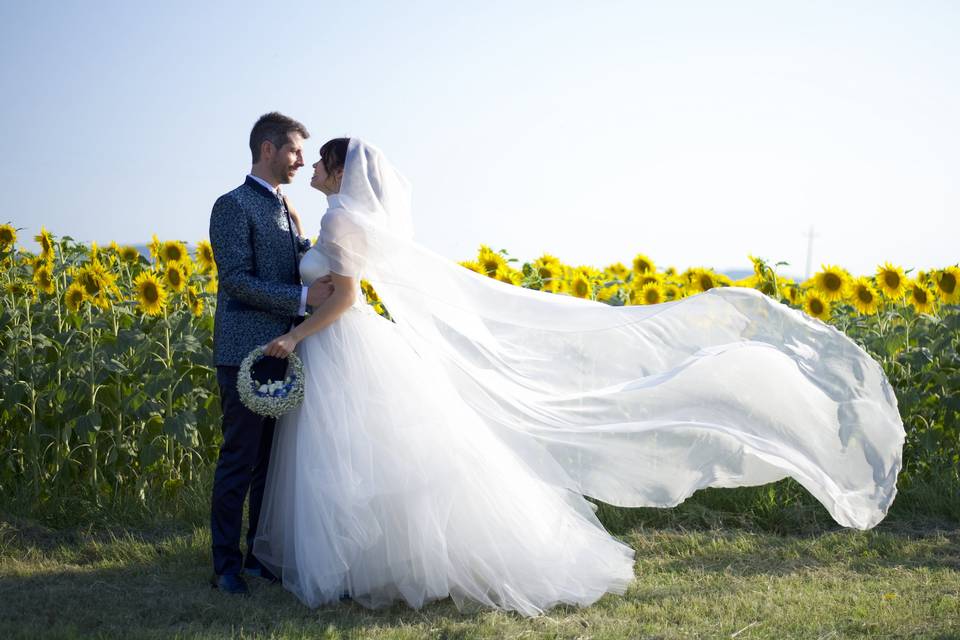 Posa tra i girasoli