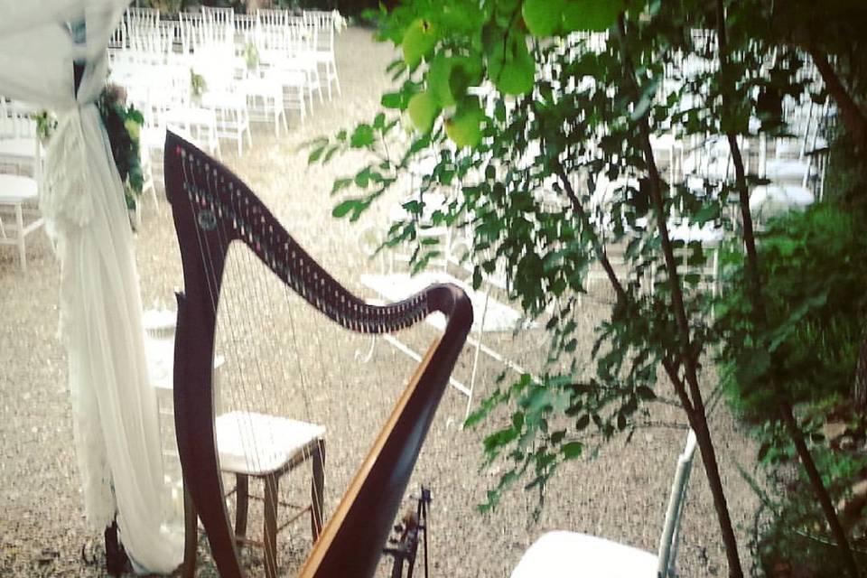 Harp & violin