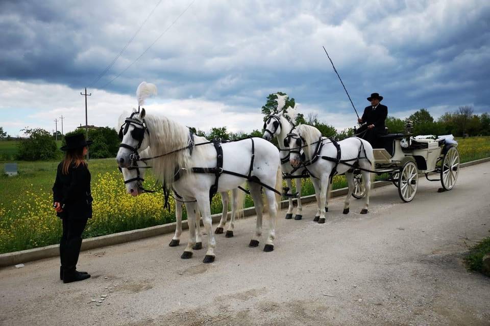 Spose in carrozza