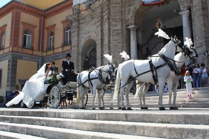 Spose in carrozza