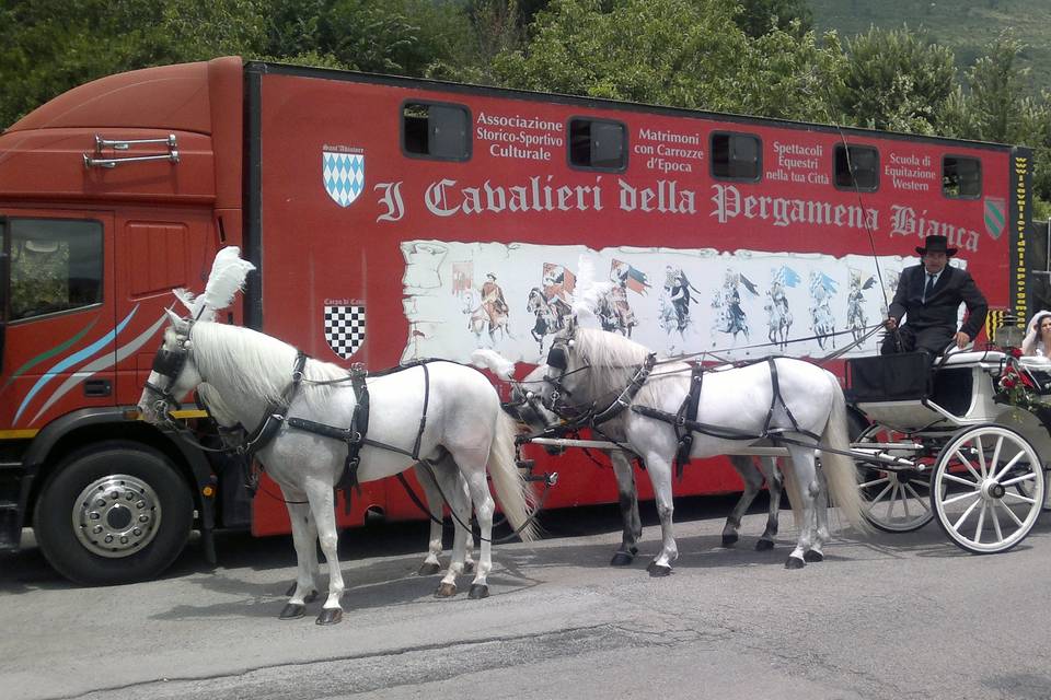 4 cavalli bianchi