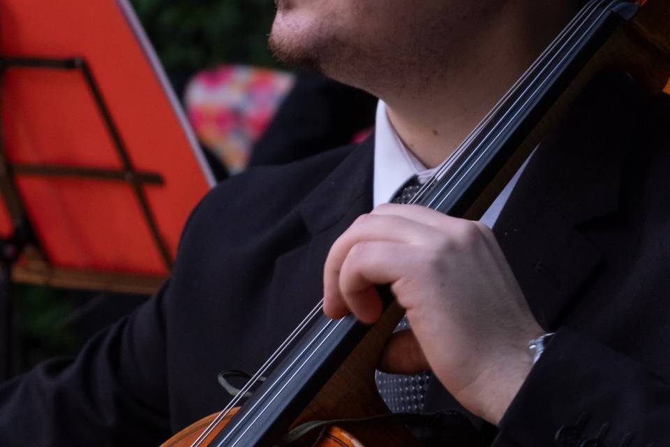 Violoncello