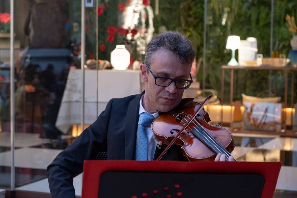 Violino