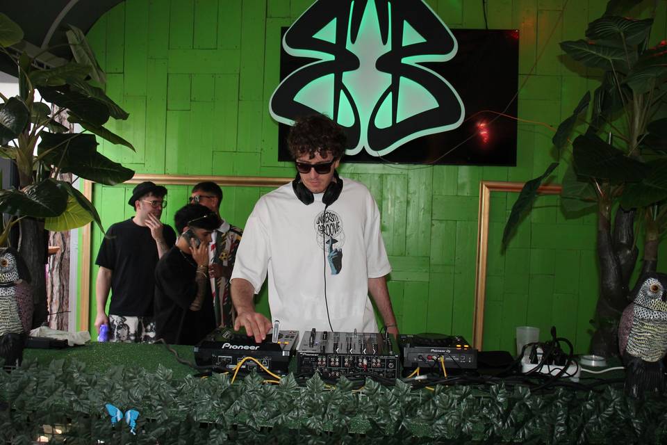 Eventi in discoteche/festival