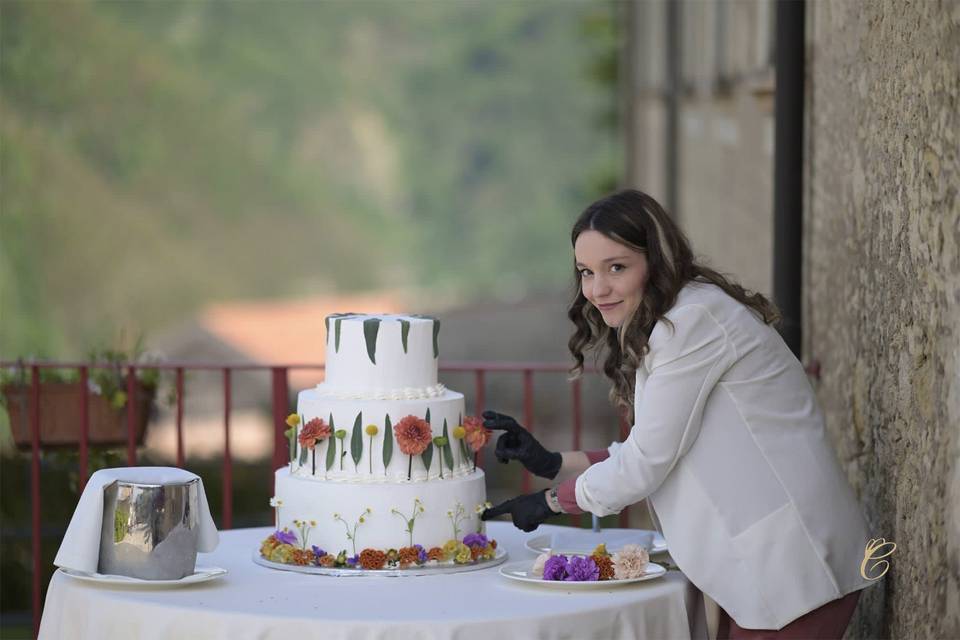 Wedding - torta nuziale