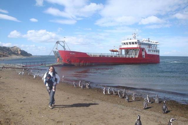 Isla Magdalena - Cile