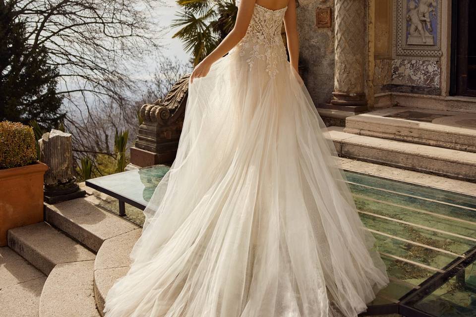 Randy fenoli 2024