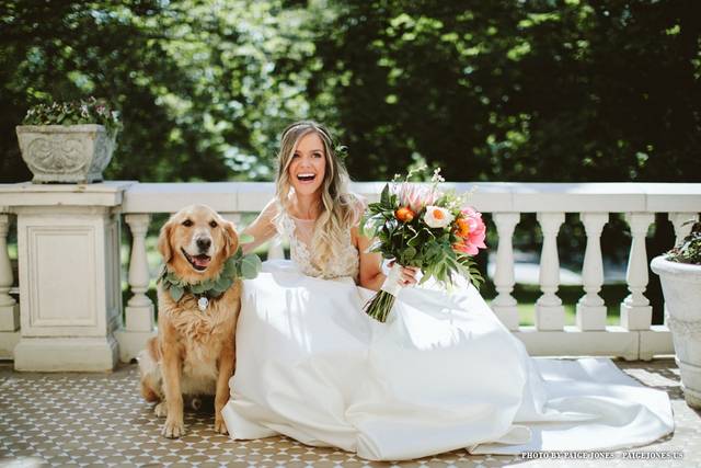 Wedding Pet's Chic