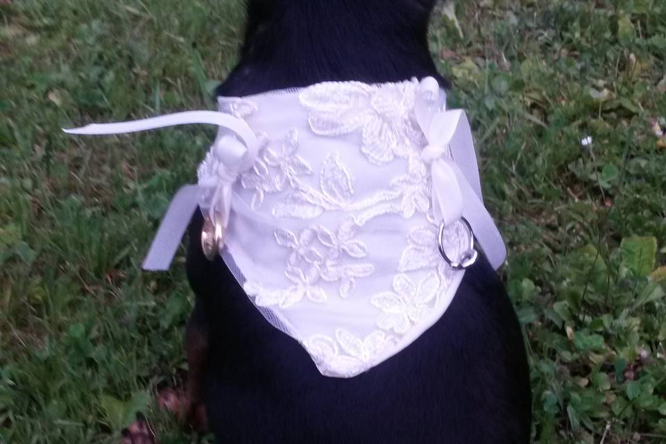 Wedding Pet's Chic