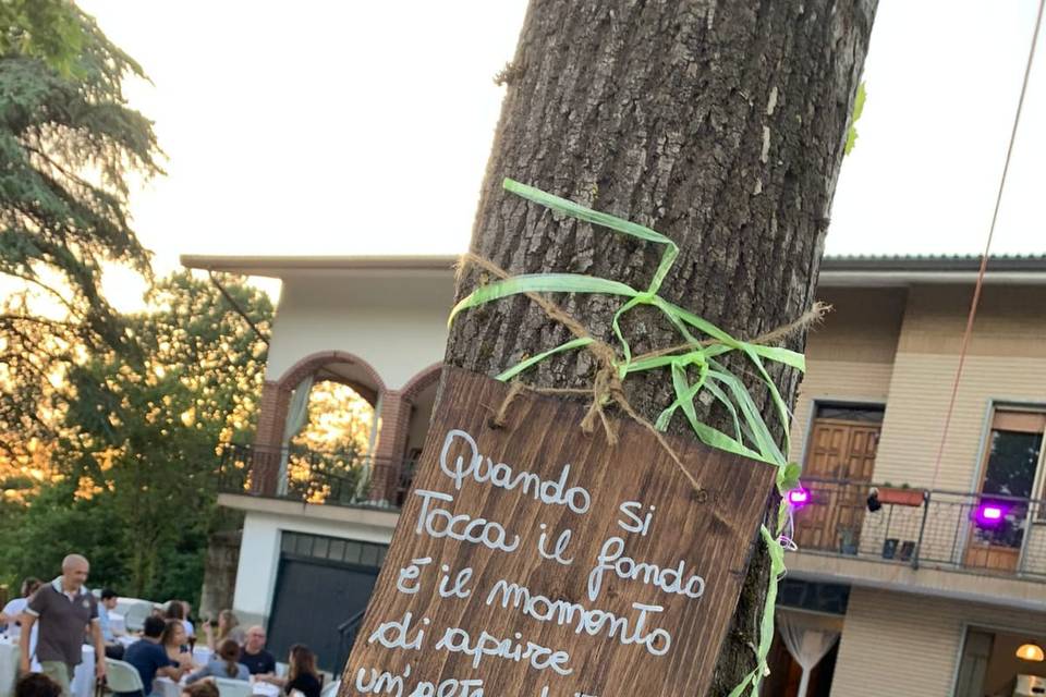 La Vigna di Cascina Viola