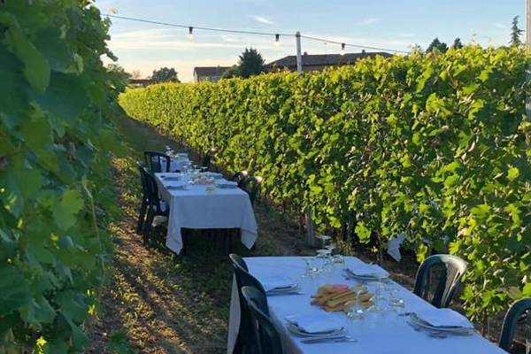 La Vigna di Cascina Viola