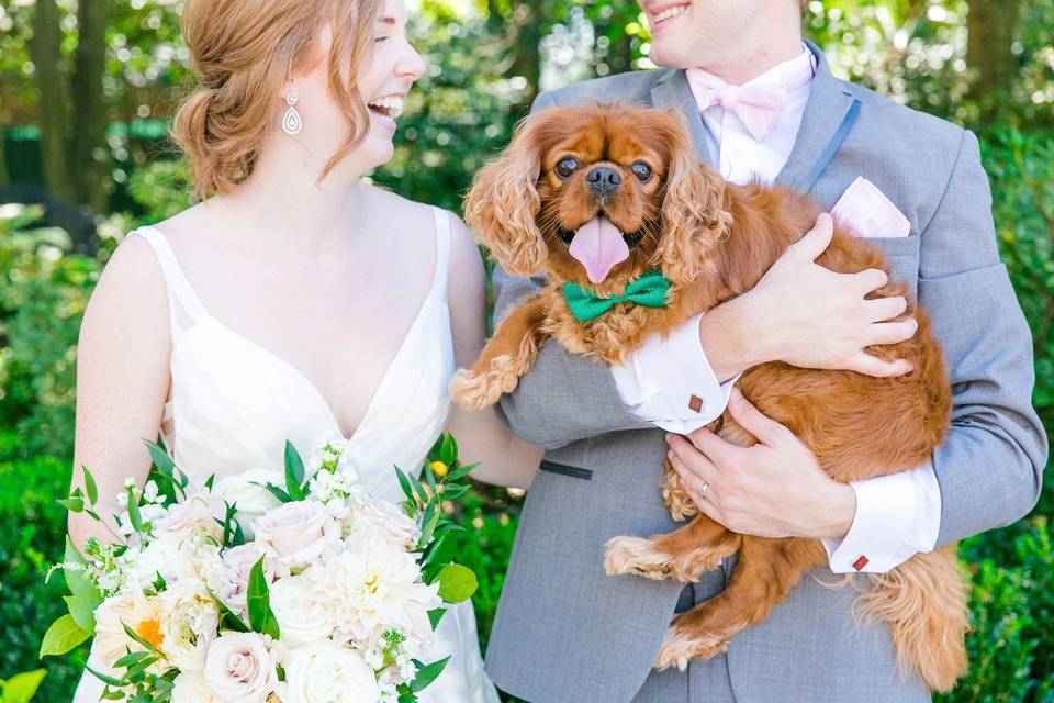 Wedding Pet's Chic