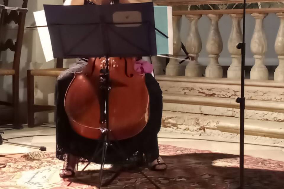 Violoncello