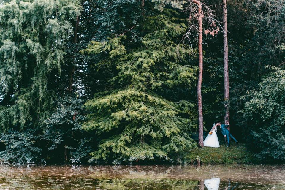 Le foto nel parco secolare