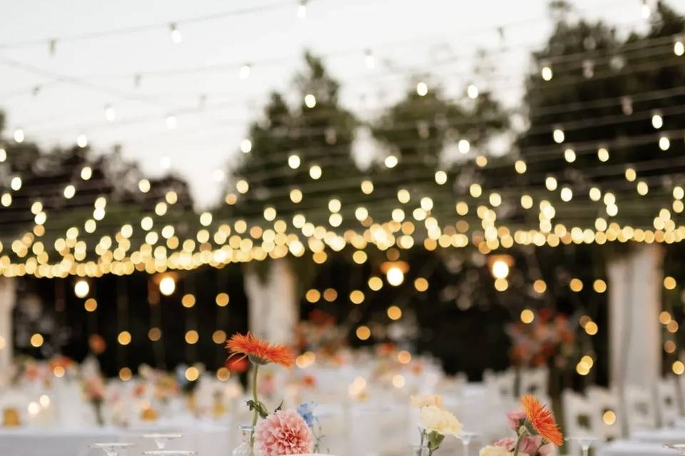 M&G Wedding