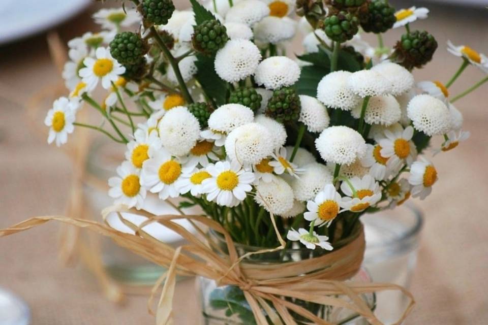Semplicemente fiori di campo