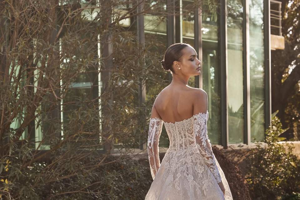 Pronovias New Collection