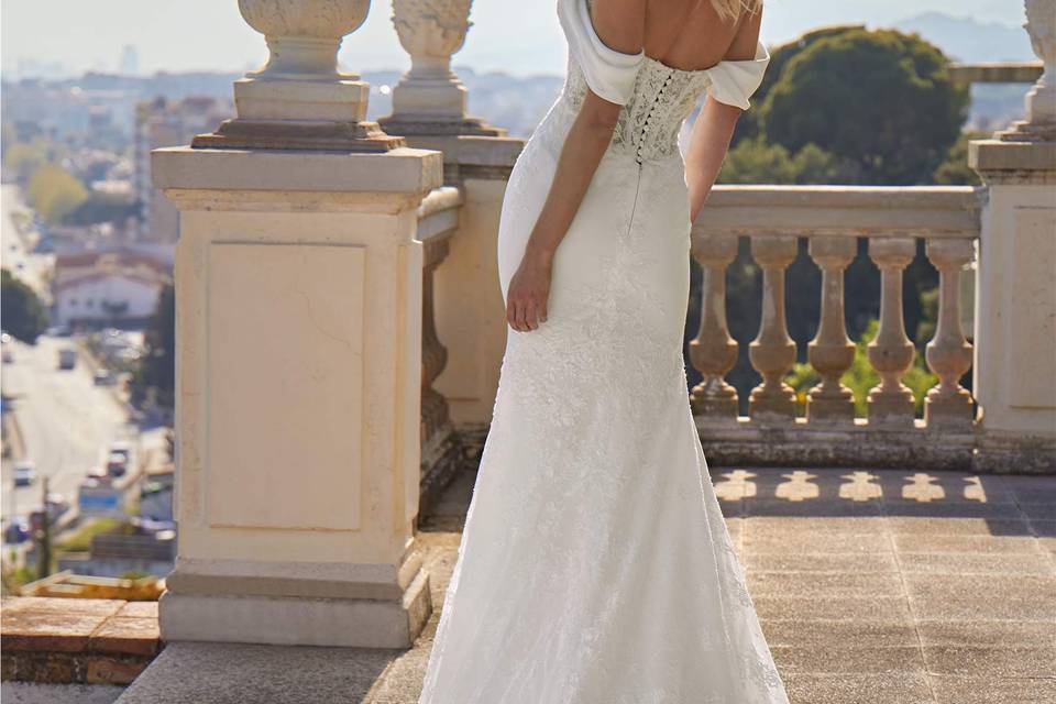 Pronovias New Collection