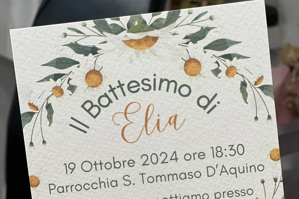 Invito Elephant