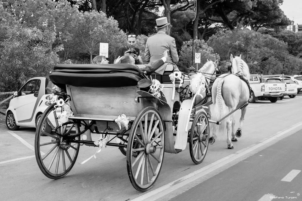 Matrimonio sulla spiaggia