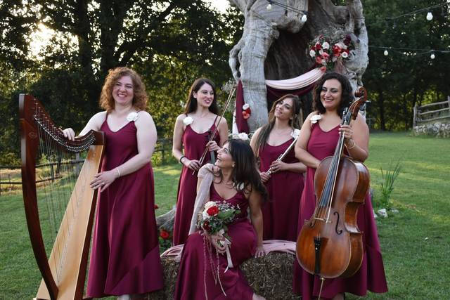 Le Muse Ensemble