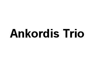 Ankordis Trio logo