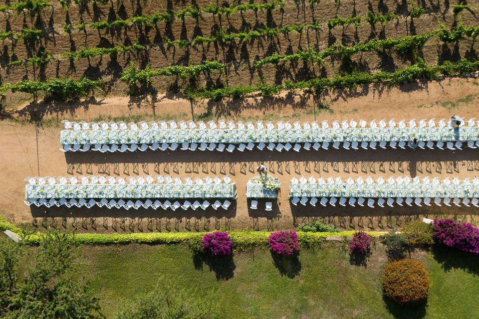 Tavoli fronte vigna