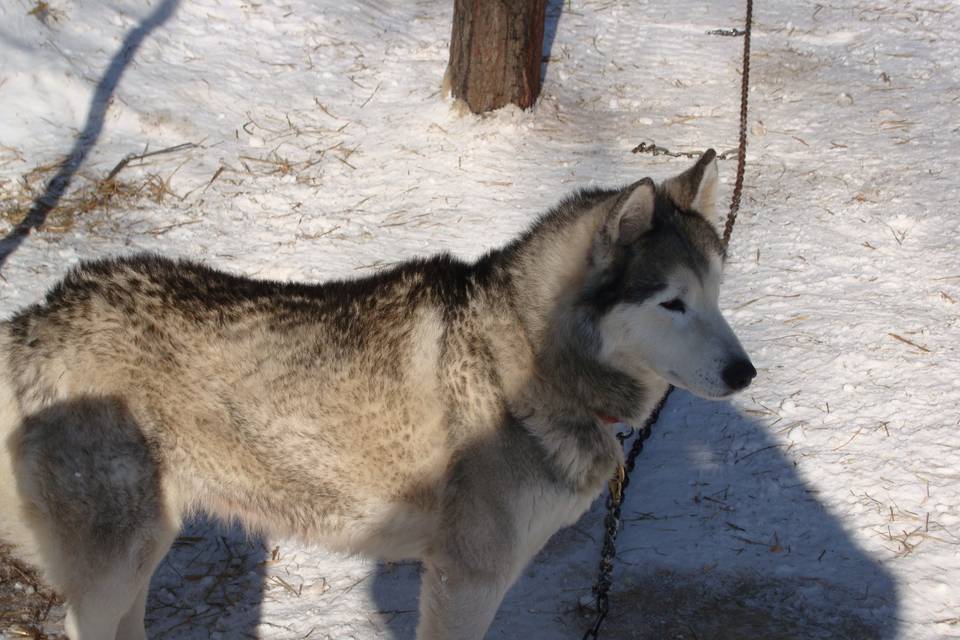 Montebello, CANADA