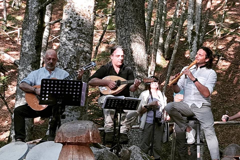 Musica nel bosco