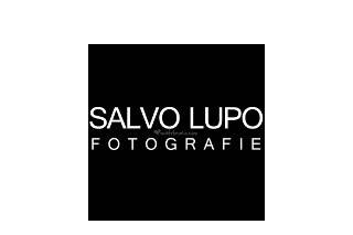 Salvo lupo fotografie