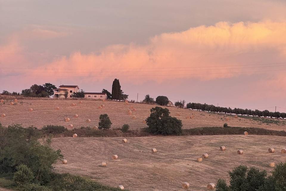 Tenuta di Vico Moricino