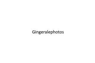 Gingeralephotos