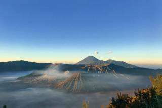 Sotto La Palma