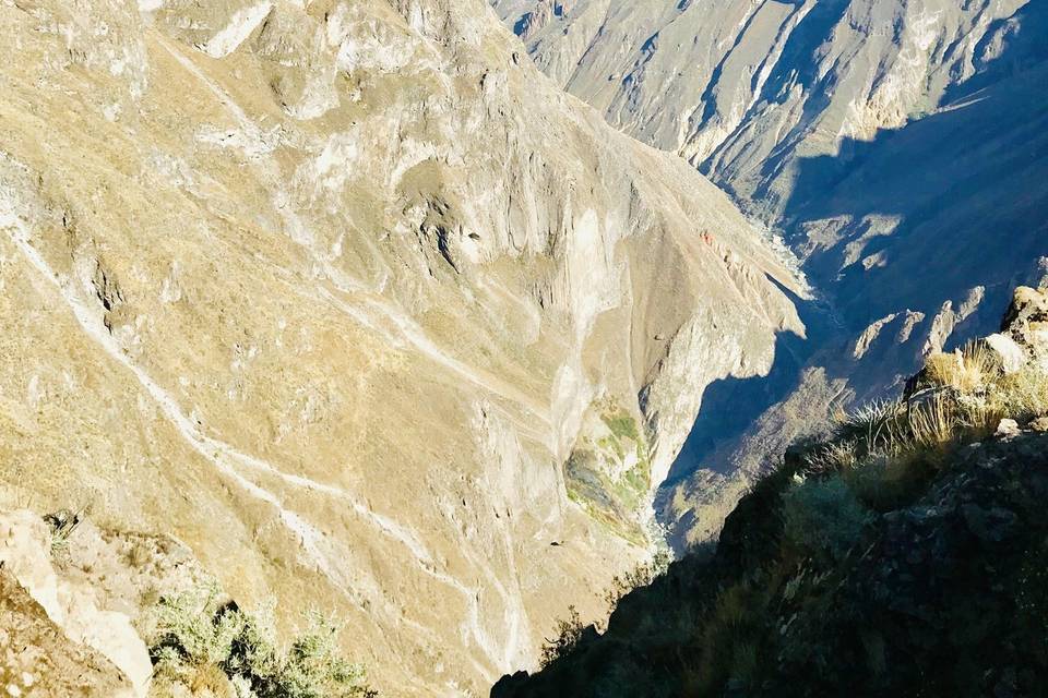 Canyon del Colca, Perù