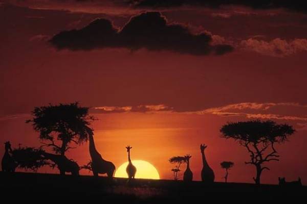 Africa