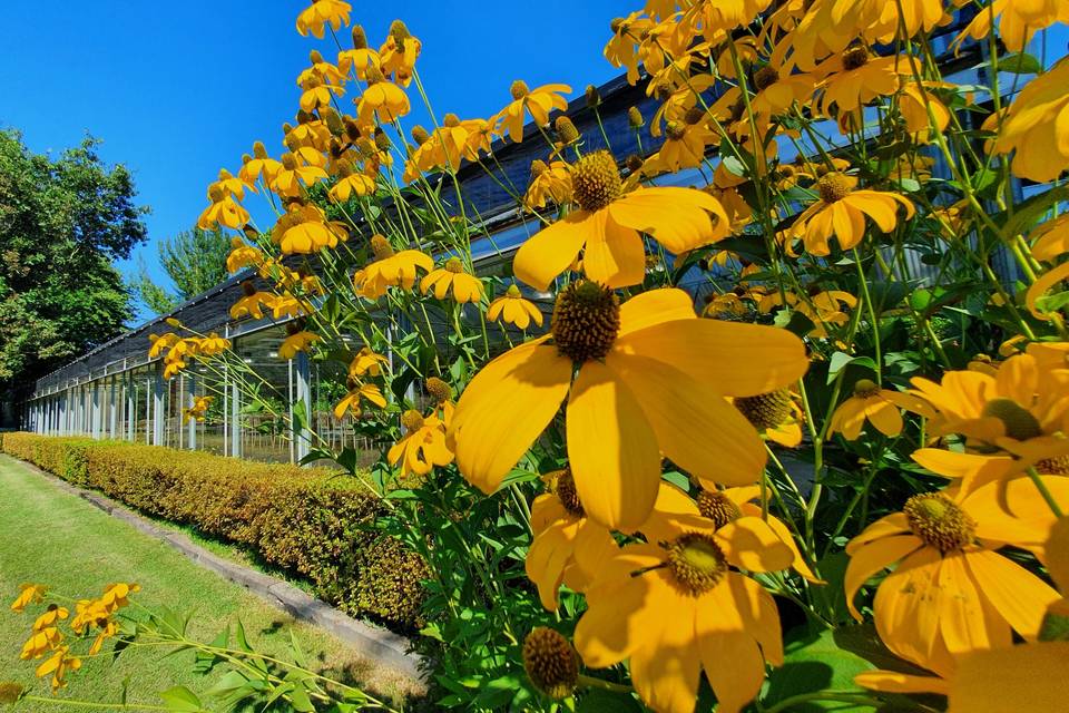 Jardin a Vivre