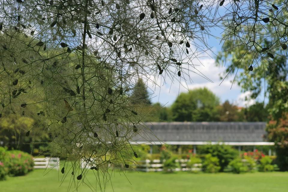 Jardin à voir