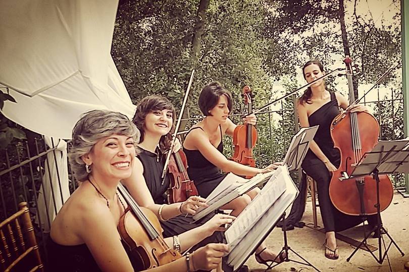 Quartetto d'archi... tutto al