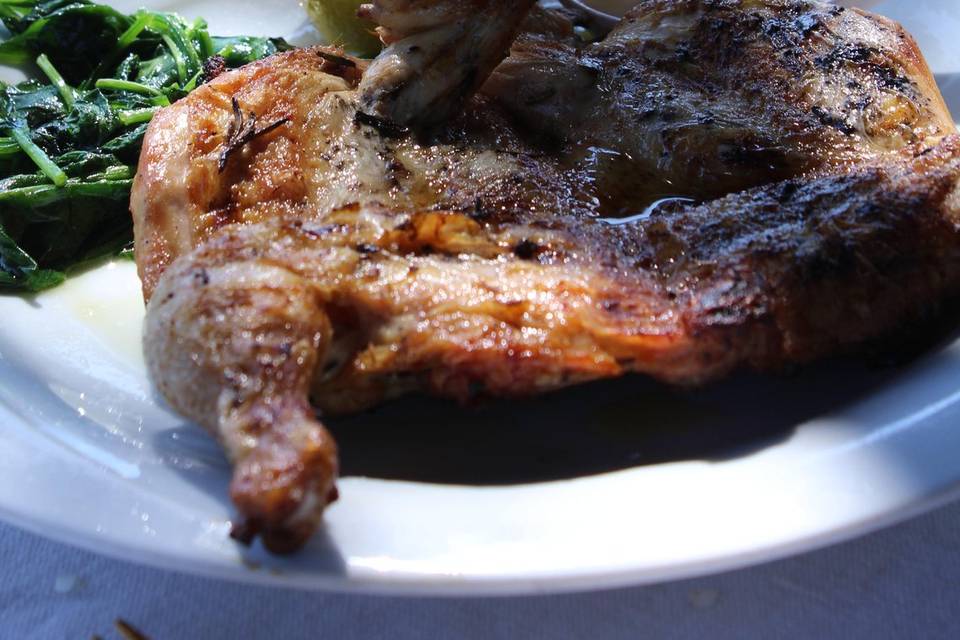 Cibo
