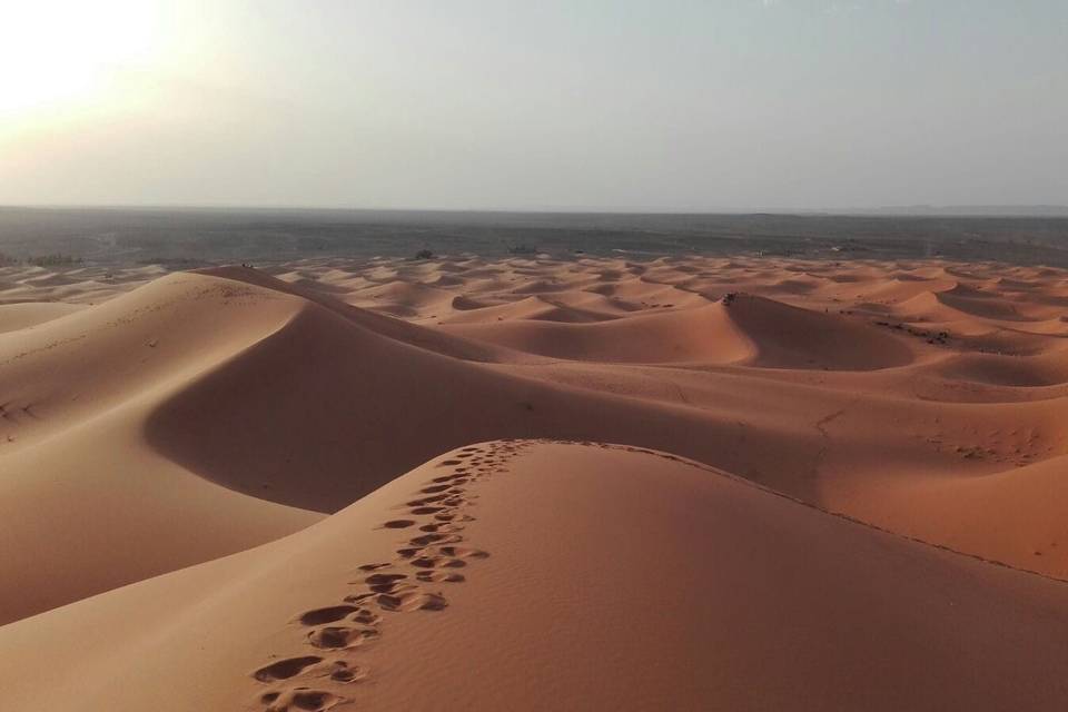 Deserto