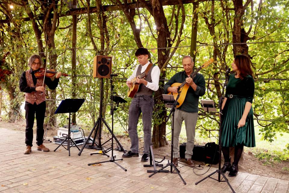 Irish Band