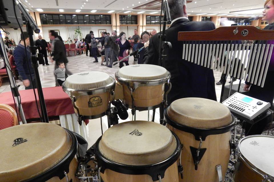 Percussion Live