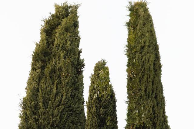 Servizio in stile reportage
