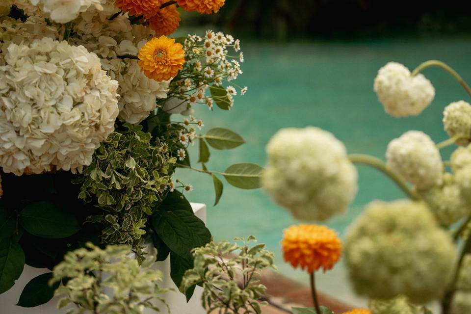 Flowers