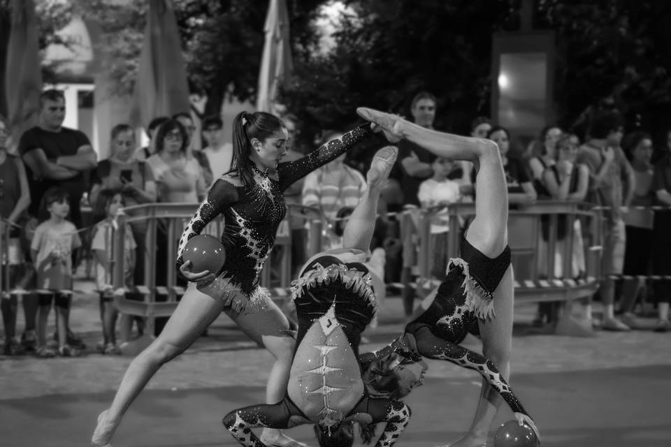 Ginnaste