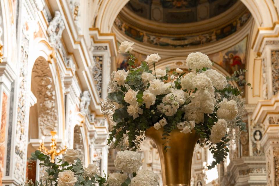 Rose bianche