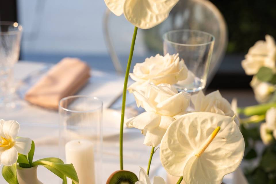 Anthurium bianco e kiwi